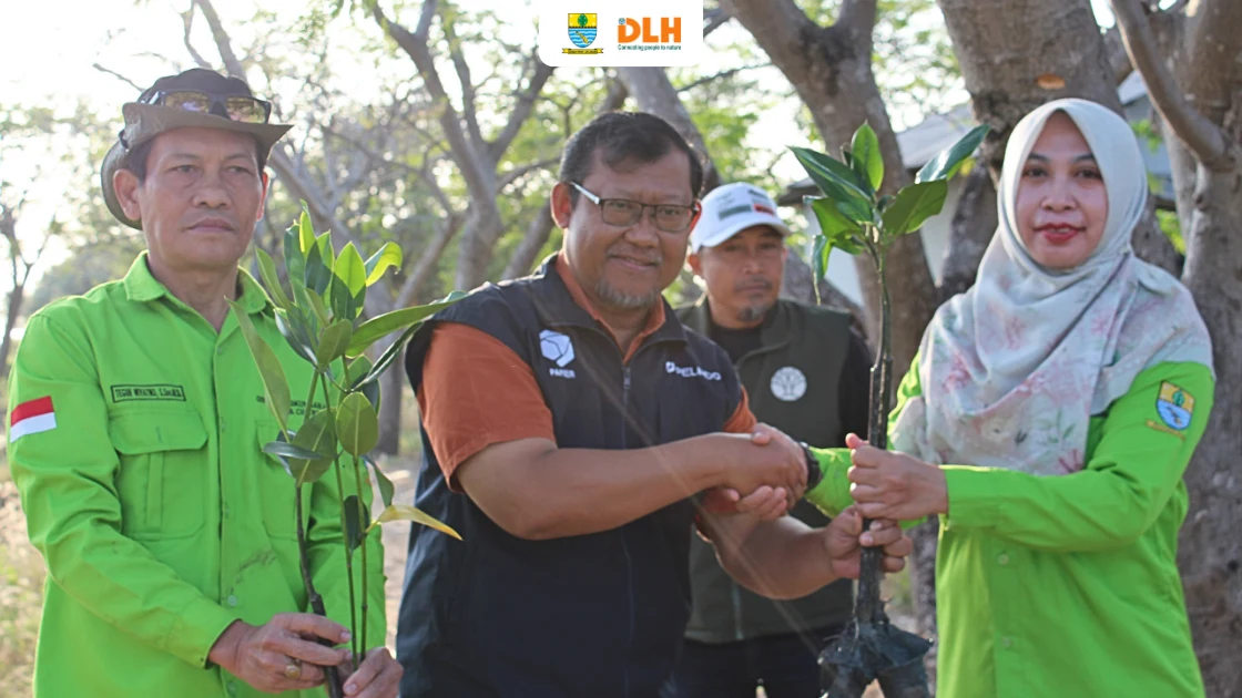 Aksi Maraton Penyelamatan Pesisir: Ribuan Bibit Mangrove Ditanam Sambut Hari Jadi Cirebon ke-599